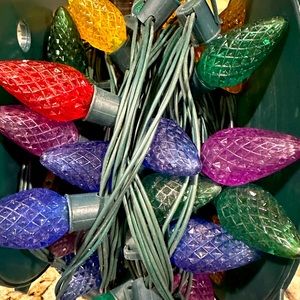 Indoor/outdoor multi Christmas lights